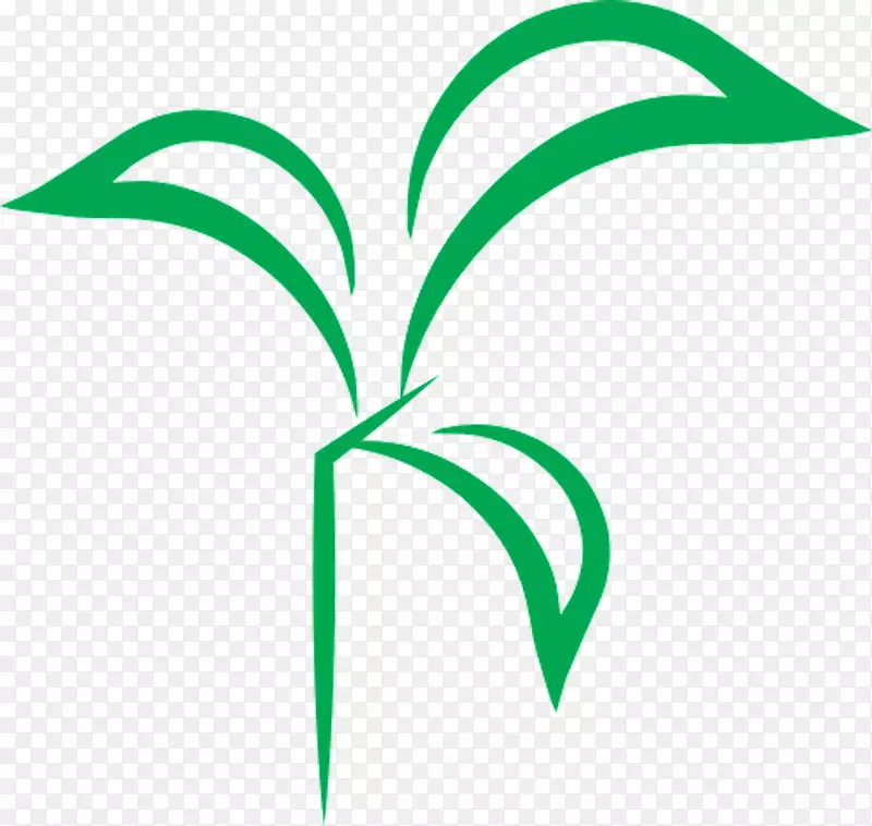 叶线角植物茎夹艺术-叶