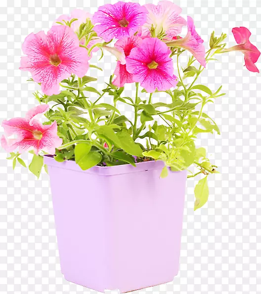 花盆设计塑料花瓶