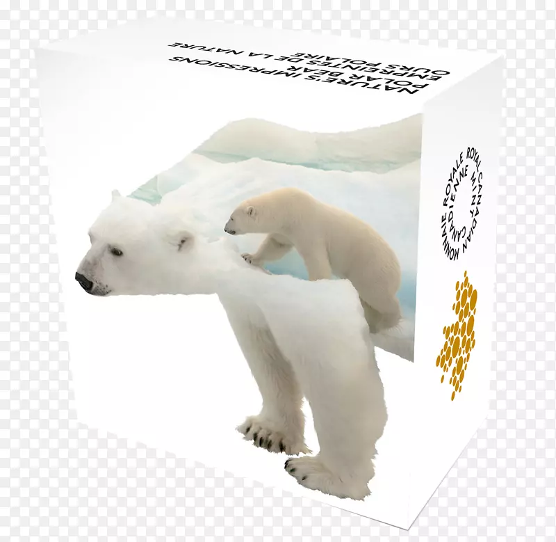 北极熊北极加拿大爪子银爪印