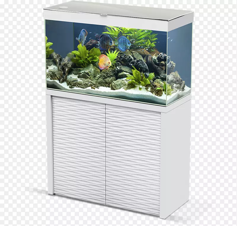 水族馆白色过滤青色