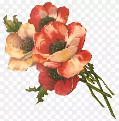 花卉设计纸花束切花