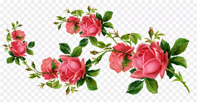 花园玫瑰剪花剪艺术花