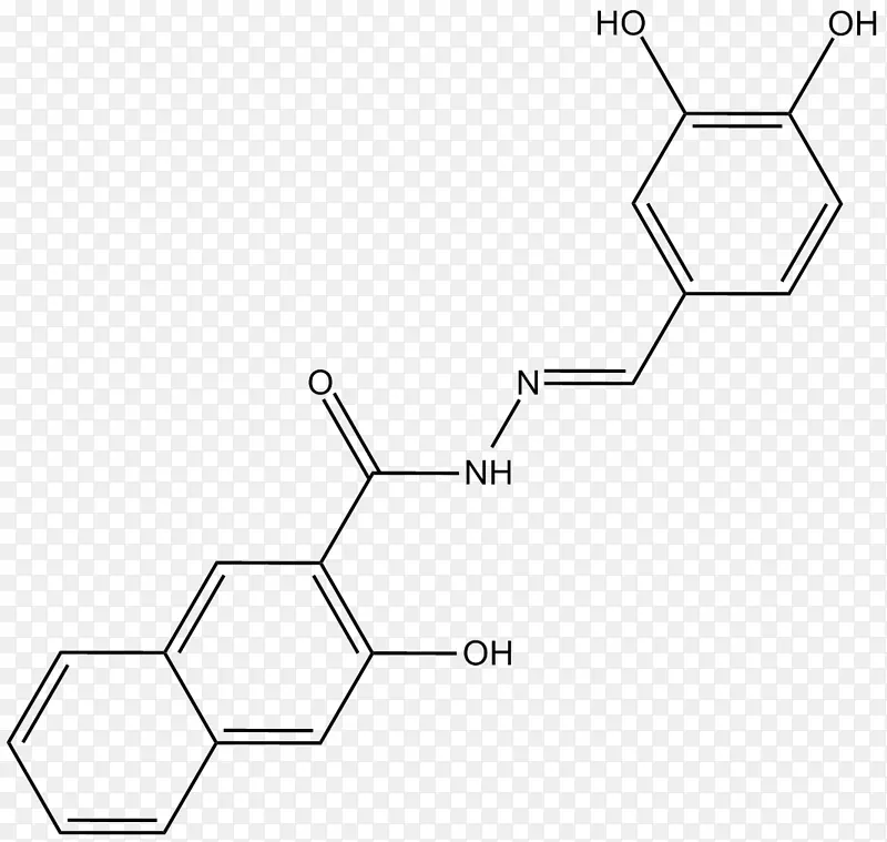 磷酸肌醇3-激酶抑制剂蛋白激酶b受体细胞膜