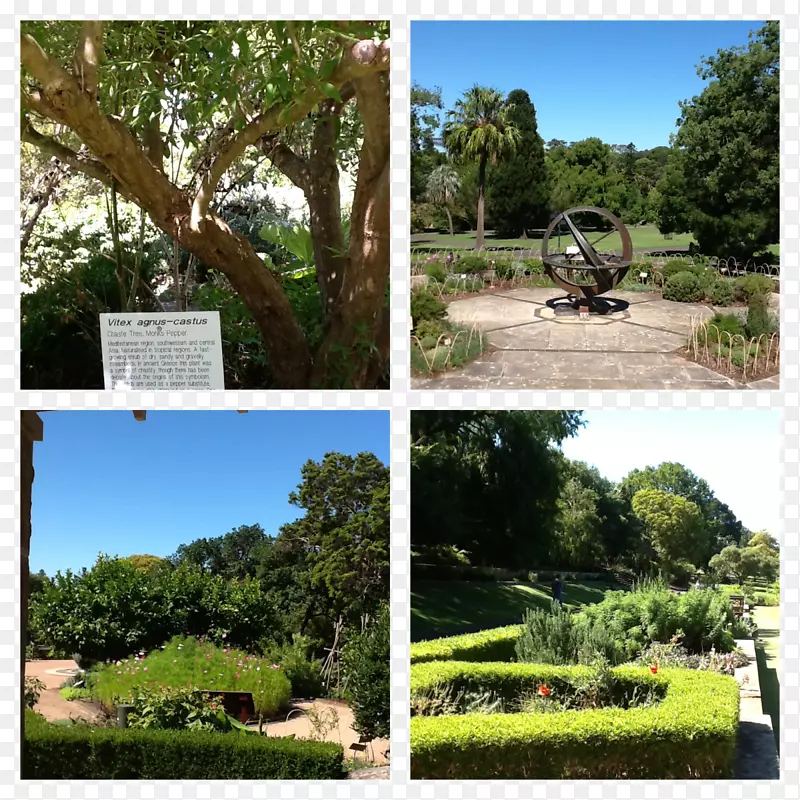 自然保护区植物区系公园植物园