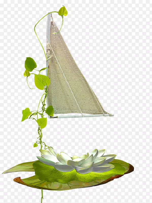 PlayStationpng水生植物-植物