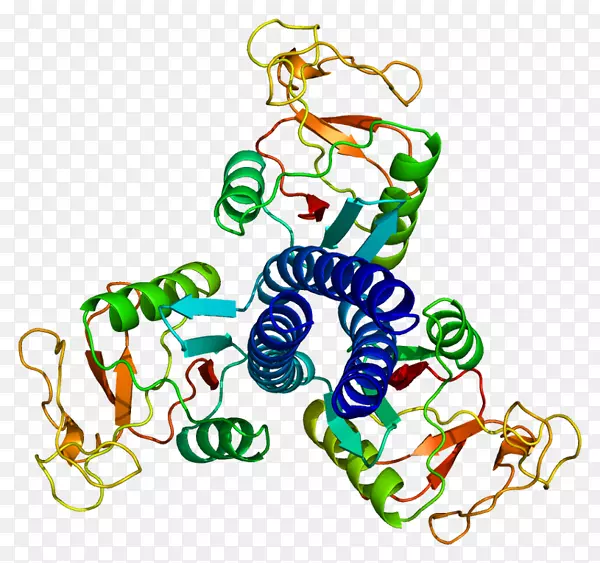 肺表面活性物质蛋白d表面活性物质蛋白a肺表面活性物质蛋白d凝集素