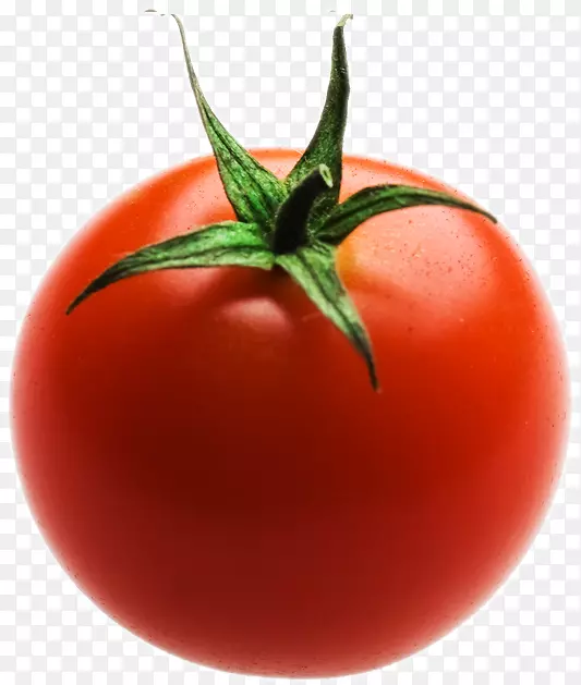 番茄营养食品营养物质标签-番茄