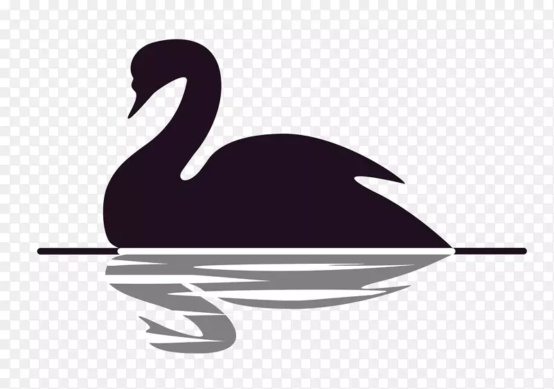 黑天鹅：极不可能发生的黑天鹅理论对韦丹塔剪贴画的影响