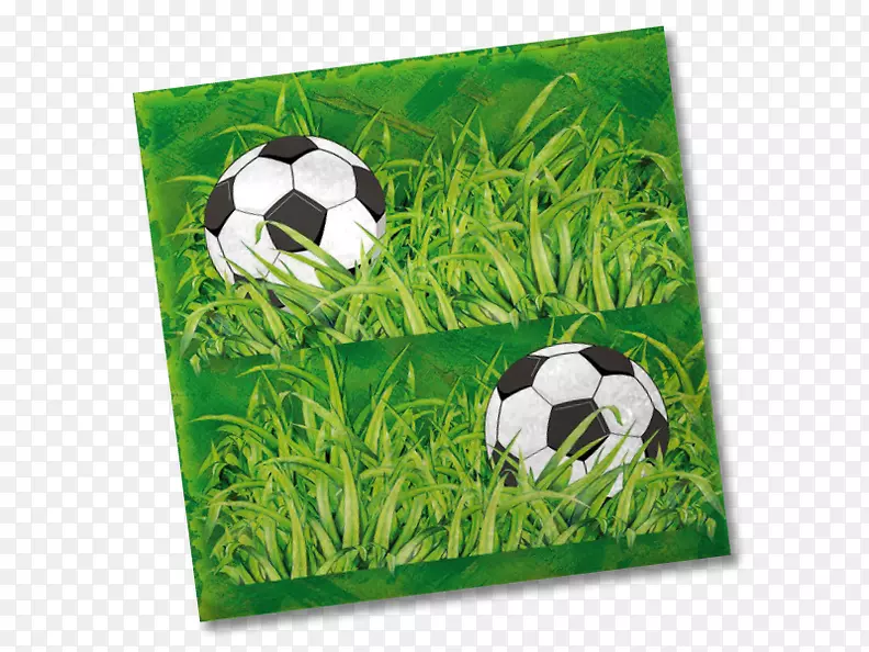 草本植物足球家庭球