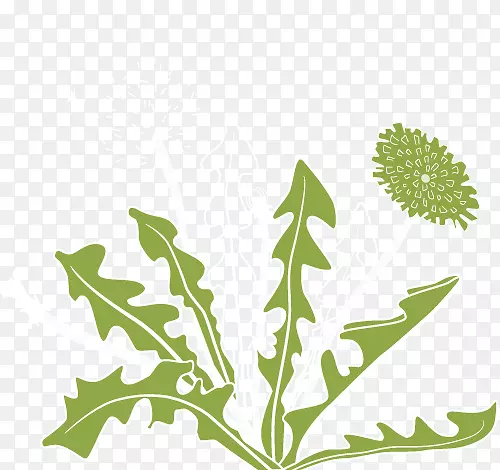 蒲公英植物茎叶剪贴画蒲公英