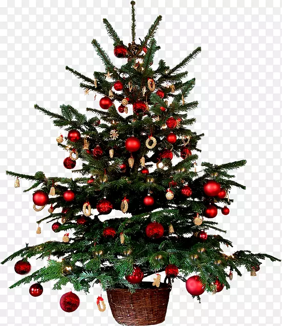 圣诞装饰圣诞树动画-圣诞树