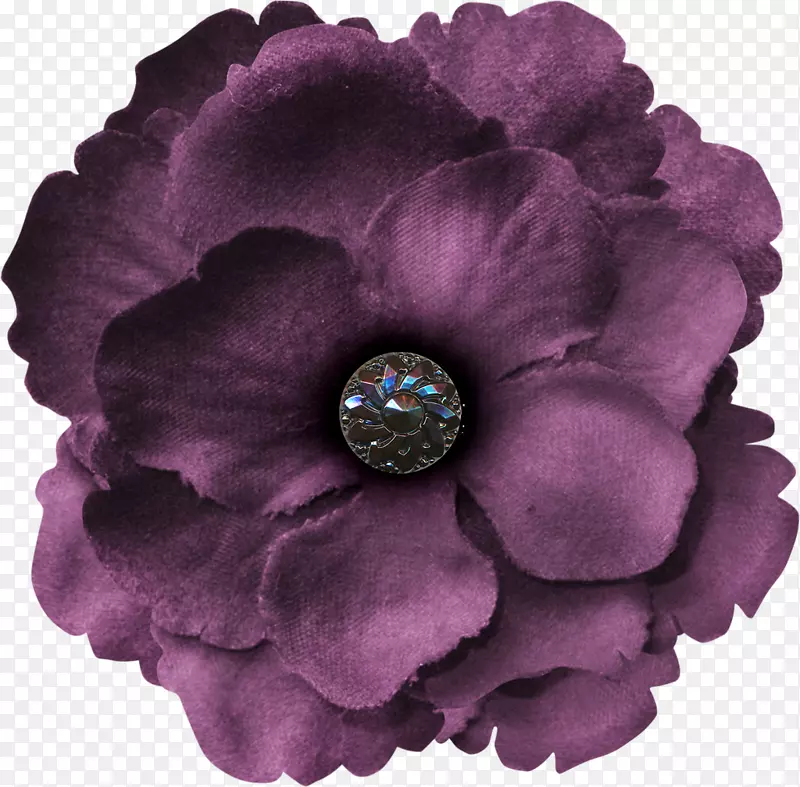 花瓣花紫色多瓣花