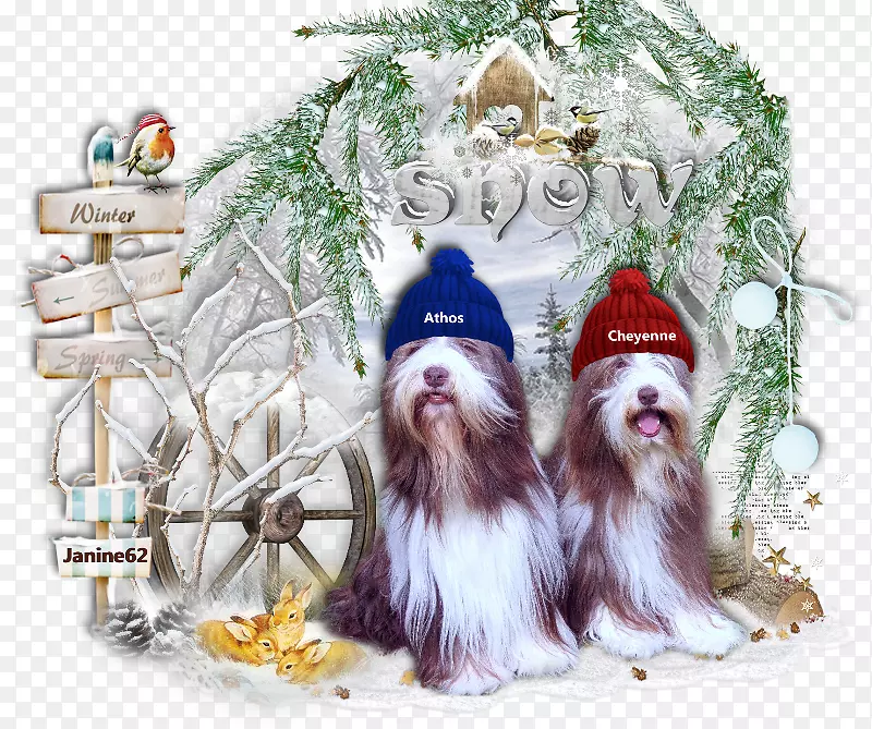 犬种石子圣诞装饰圣诞树-圣诞树