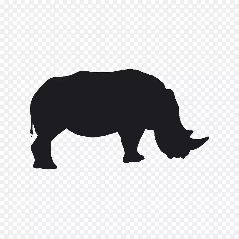 黑犀牛拯救了印度犀牛的轮廓