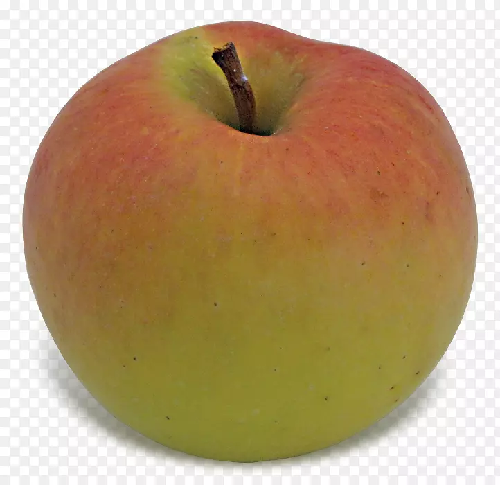 麦金托什实验室苹果识别-苹果