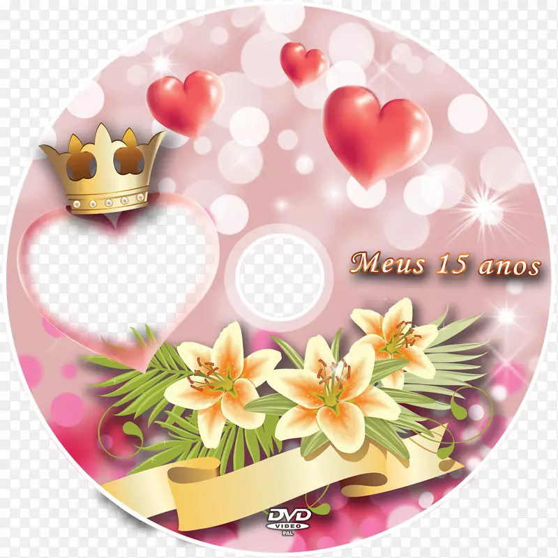 光盘dvd花艺设计-dvd