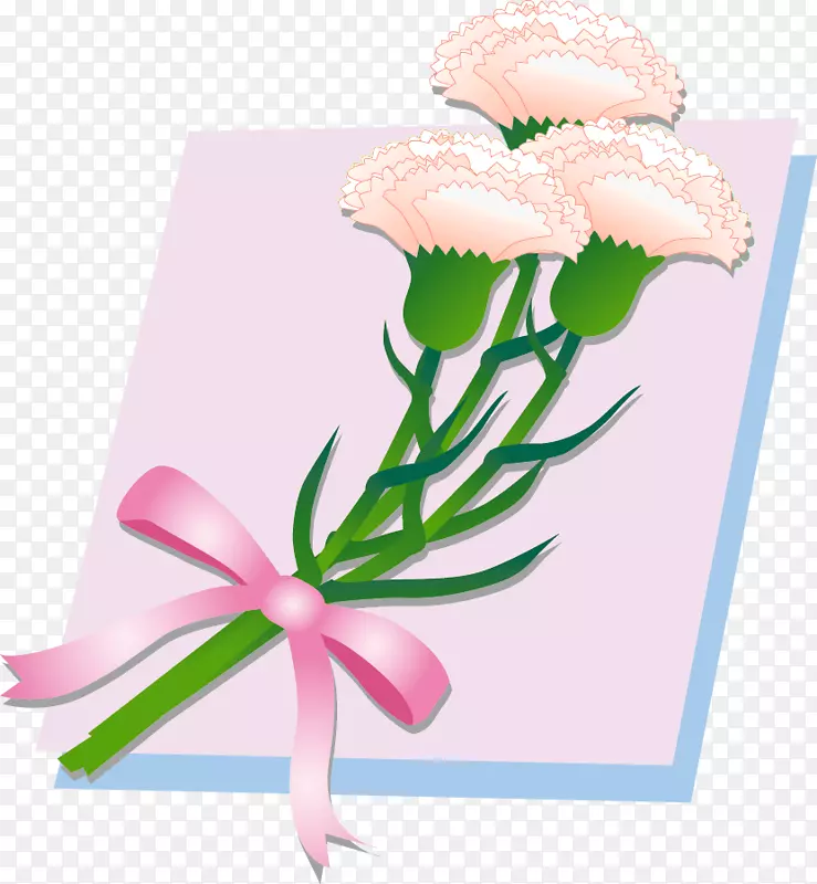 花卉设计切花康乃馨花束-鲜花