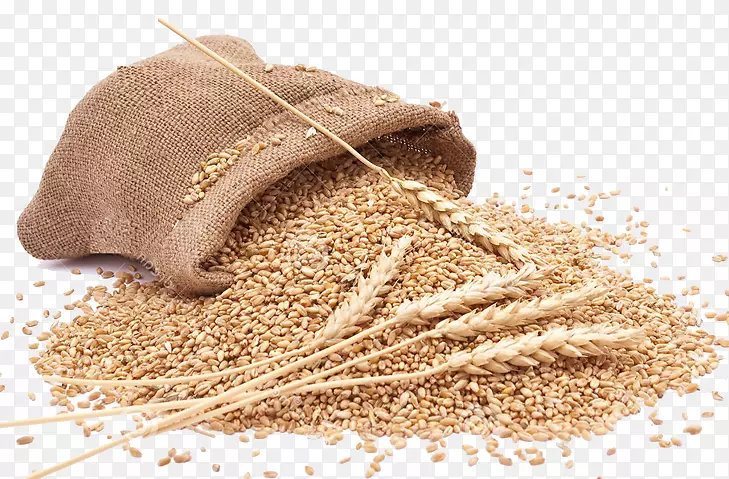 全麦面粉谷类食品-小麦