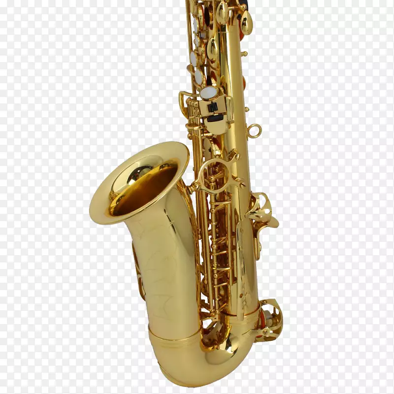 男中音萨克斯管-萨克斯管喉舌铜管乐器.萨克斯管