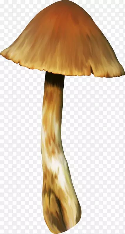 木蘑菇/米/083 vt-蘑菇