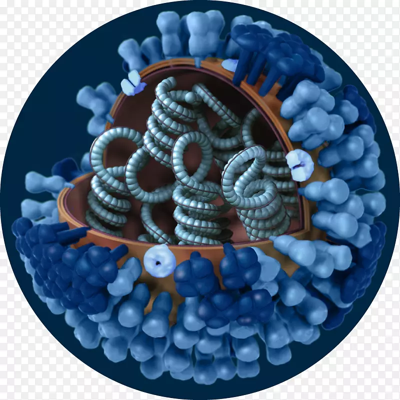 2009年流感大流行甲型H1N1流感亚型甲型H1N1病毒H3N2亚型猪流感