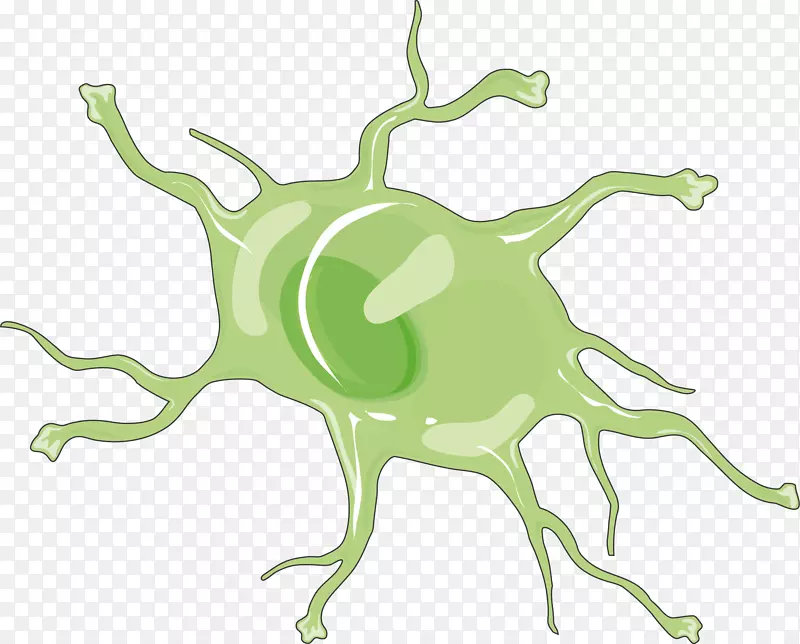 星形胶质细胞医学神经病学剪贴画