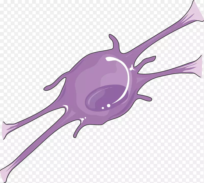 少突胶质细胞Servier医学AGY神经元剪辑艺术