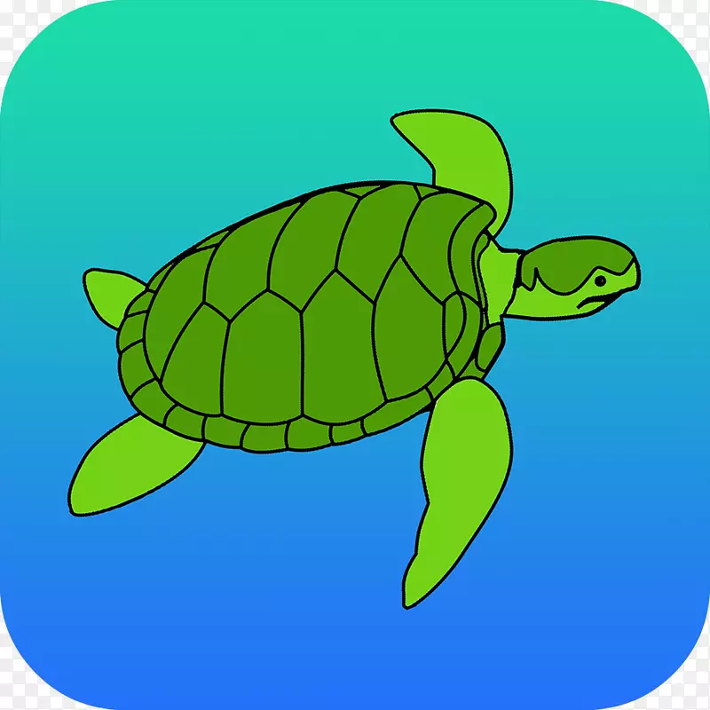 甲鱼龟剪贴画-海龟