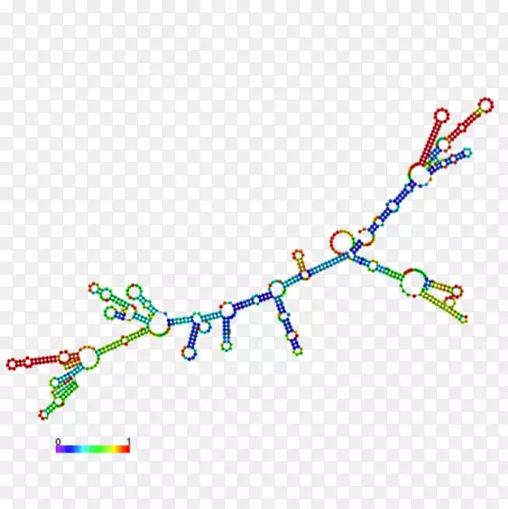 信使RNA碱基对转移RNA转录后修饰