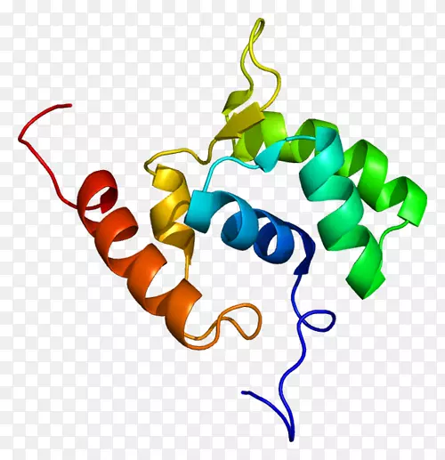 RNA聚合酶蛋白基因