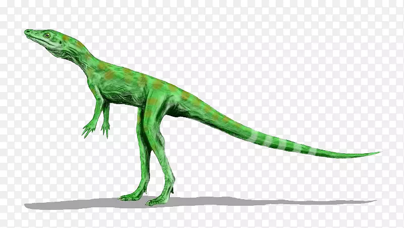 双壳类恐龙-恐龙