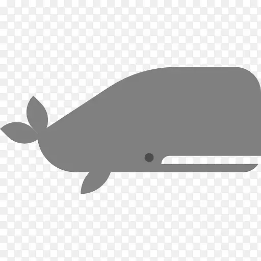海豚水生动物计算机图标鲸鱼海豚