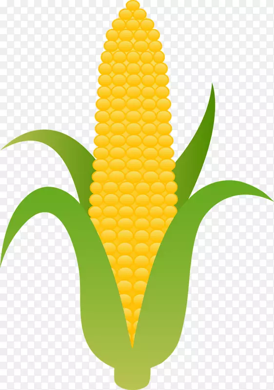 玉米上的玉米甜玉米剪辑艺术-玉米片