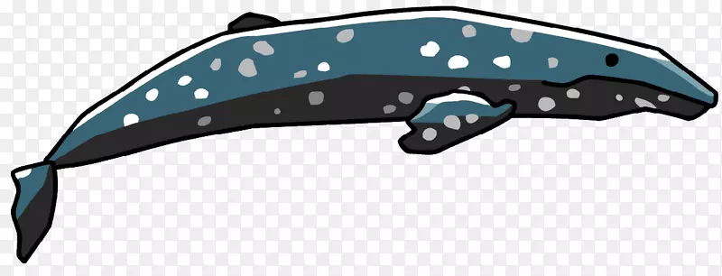 海豚灰鲸海豚剪贴画-海豚