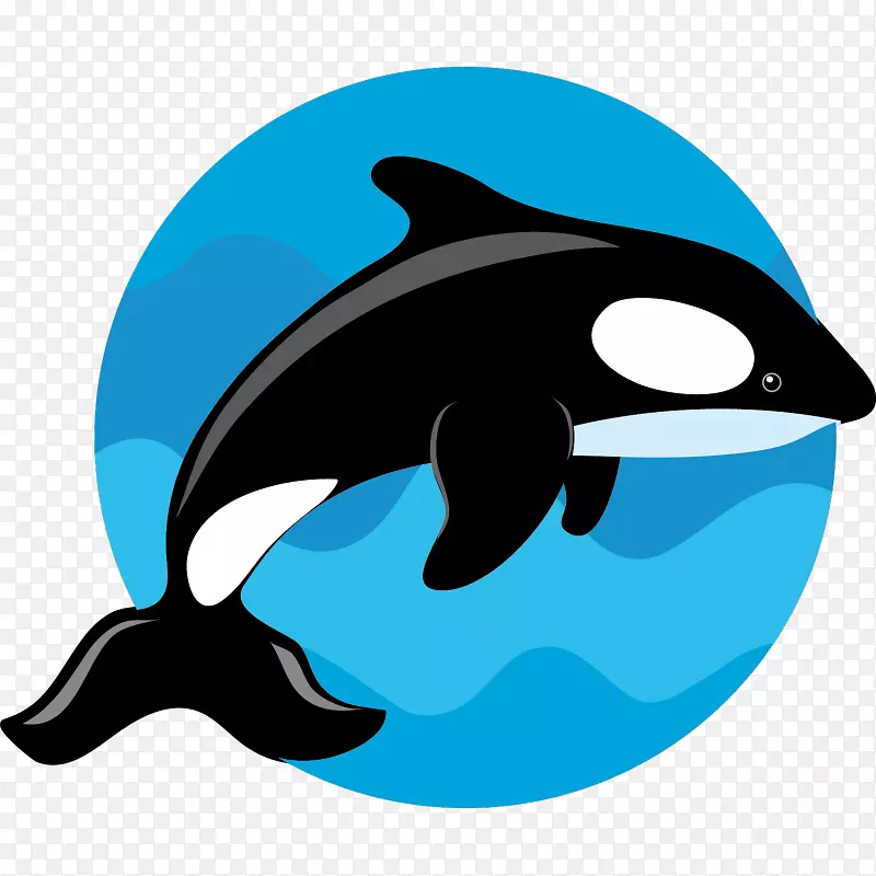 普通宽吻海豚虎鲸海豚剪贴画鲸鱼