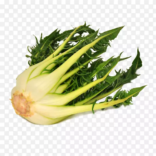 素食菜系菊苣园-蔬菜