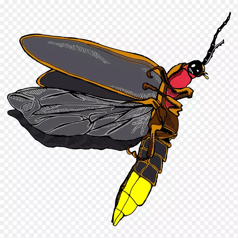 蜜蜂黄蜂昆虫萤火虫