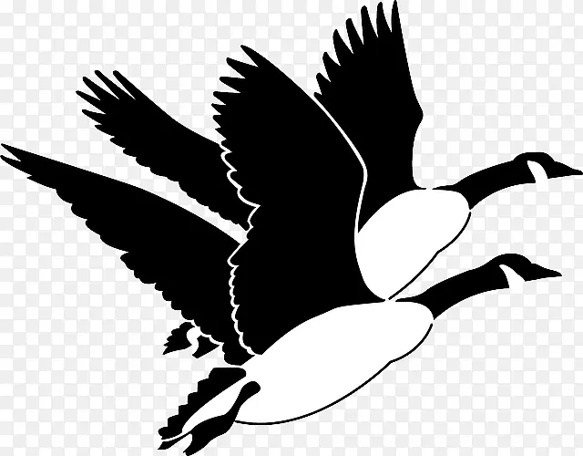 加拿大鹅鸟夹艺术-鹅