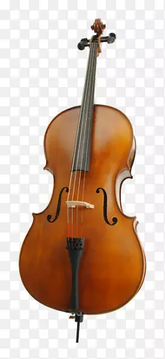 低音小提琴中提琴低音中提琴大提琴小提琴