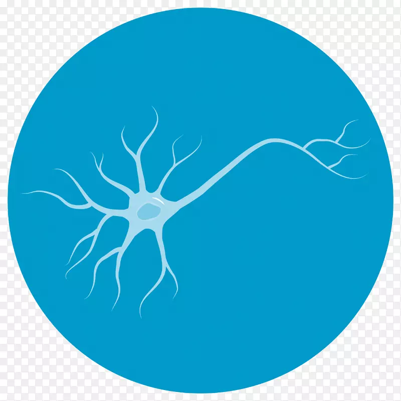 神经元病保健诊所-神经元
