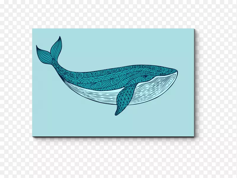 蓝鲸海豚画-蓝鲸
