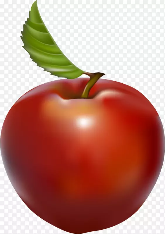 番茄水玫瑰苹果巴巴多斯樱桃番茄
