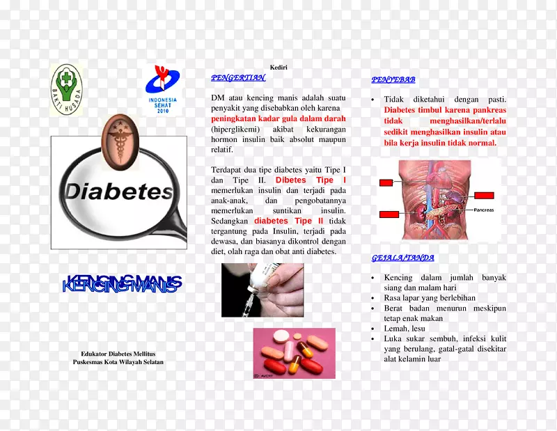 2型糖尿病胰岛素高血糖支气管肺炎-小叶