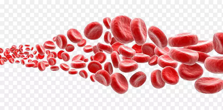 红细胞白血球血小板