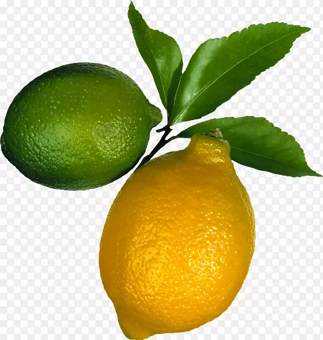 柠檬汁酸橙食品日冕柠檬