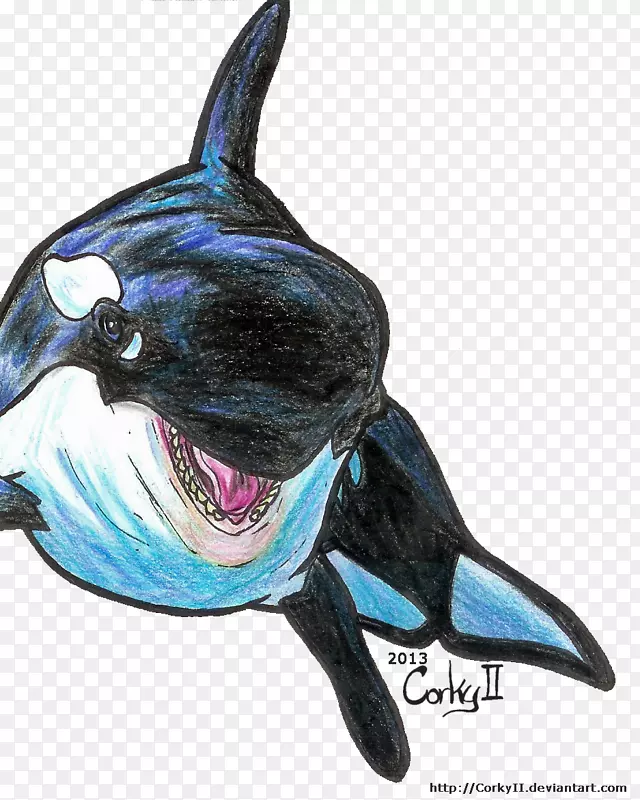 海豚钴蓝海洋生物-虎鲸
