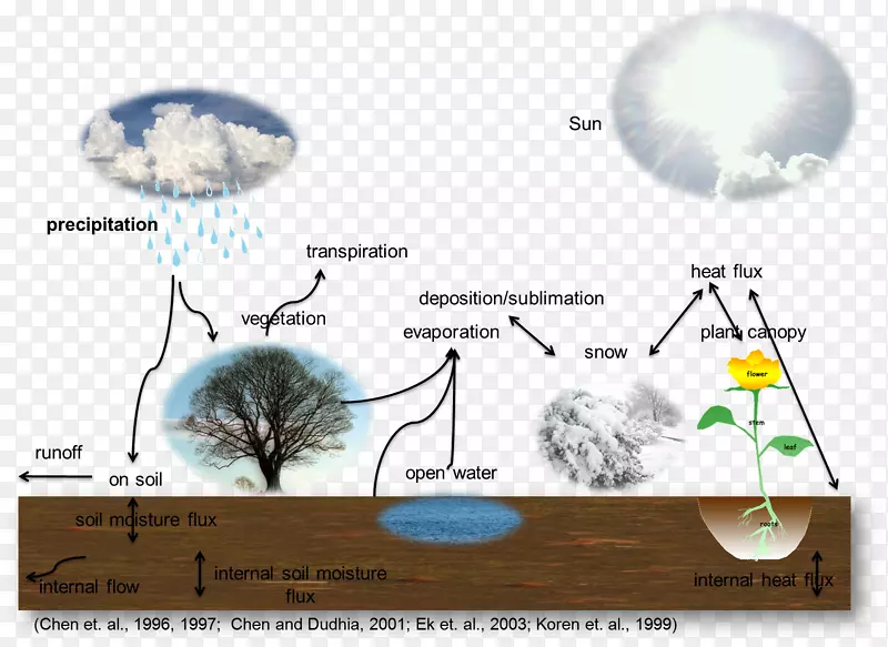 水循环蒸散土壤地球圈植物-植物