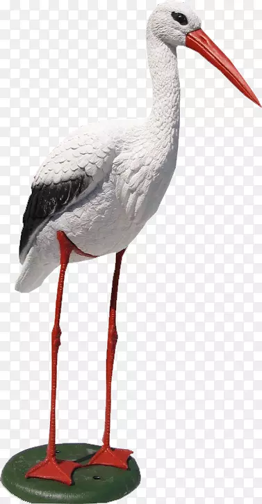 白鹳鸟塑料湿嘴鸟