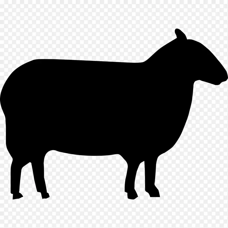 东弗里西亚羊设得兰羊阿瓦西美利奴羊奶羊