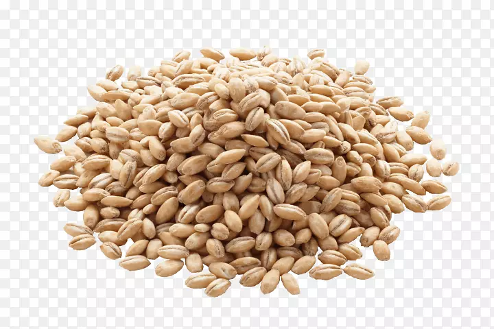 有机食品珍珠大麦谷类-大麦